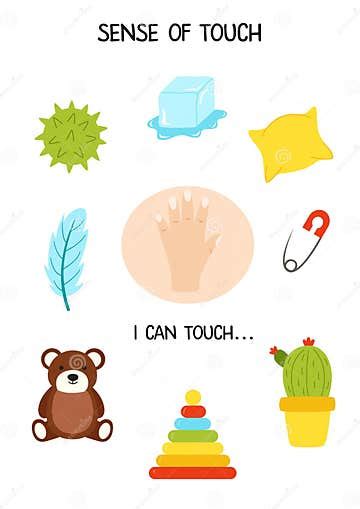 Sense Organs Sense Of Touch Vector Illustration Worksheet For Kids