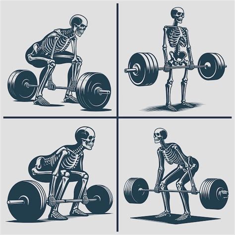 Premium Vector Skeleton Deadlift Vector Silhouette Svg Bundle File