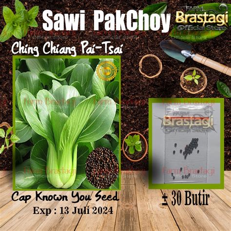 Jual Benih Biji Bibit Sawi Pakchoy Ching Chiang Daun Lonjong Sayur