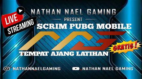 Scrim Pubg Live Live Scrim Pubg Mobile Youtube