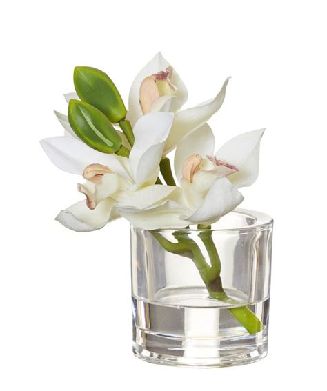 White Cymbidium Orchid In Glass Vase Cm Glass Vase Vase Cymbidium