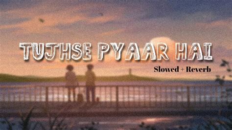 Tujhse Pyaar Hai Slowed Reverb Vishal Mishra Apurva