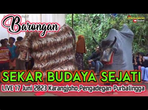 Barongan SEKAR BUDAYA SEJATI Ebeg Purbalingga LIVE 17 Juni 2023