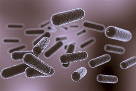 Bacterial Infection: What Is, Symptoms, Complications, and Prevention