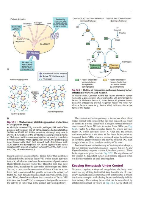 Solution Anticoagulant Antiplatelet And Thrombolytic Drugs Studypool