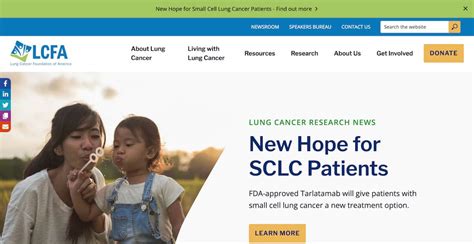 7 Lung Cancer Charities Dedicated To Research And Progress Charity Charge