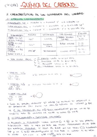 Tema Qu Mica Org Nica Pdf