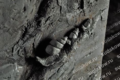 панно из штукатурки - улитки | Plaster art, Art, Plaster