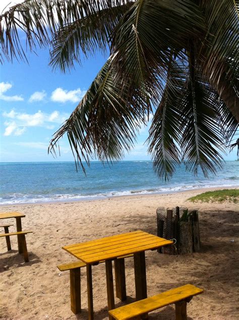 Praia De Gar A Torta Macei Alagoas Beach Outdoor Water