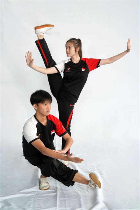 Taijiquan Singapore Wushu Dragon Lion Dance Federation