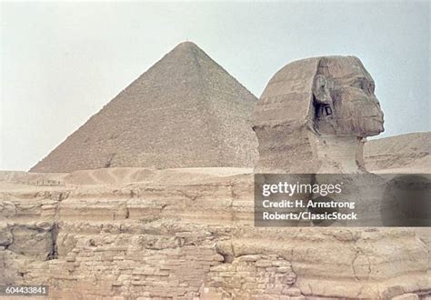 great pyramid  giza stock  high res pictures