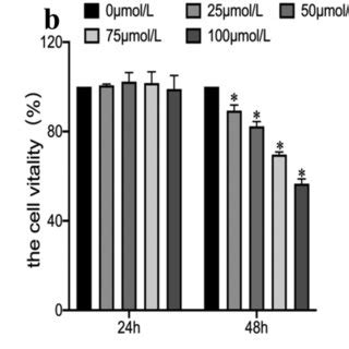 The Effects Of Rsv On Tight Junction Proteins In The Ht Cell