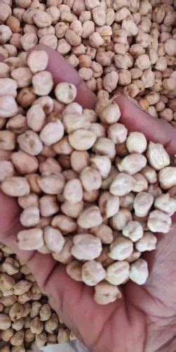 White Kabuli Chana Packaging Type Bag Packaging Size 30 Kg At Rs 75