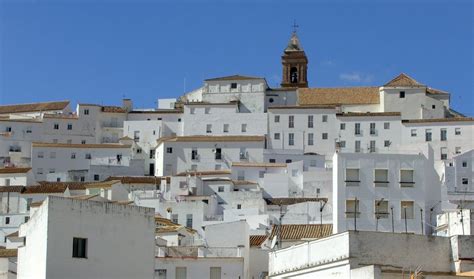 Foto Panor Mica Alcal De Los Gazules C Diz Espa A