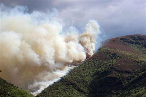 Waldbrand In Portugal Fordert Dutzende Todesopfer Energiezukunft