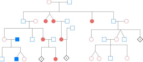 Online Pedigree Chart Tool