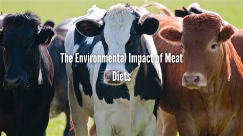 The Environmental Impact of Meat Diets – Carbon Neutral Britain