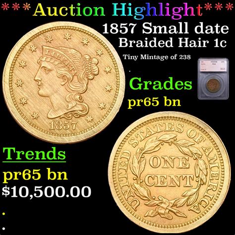 At Auction Proof Auction Highlight Small Date Braided Hair