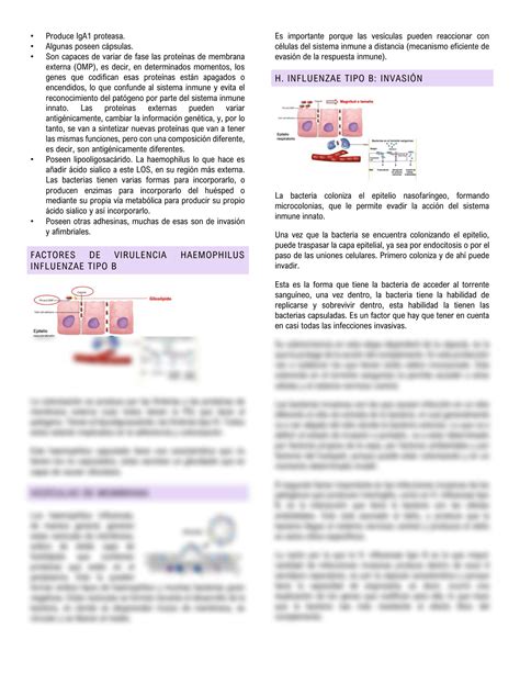 Solution Infecciones Bacterianas Tracto Respiratorio Superior