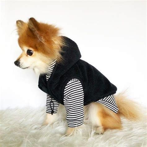 pin  cute dog clothes