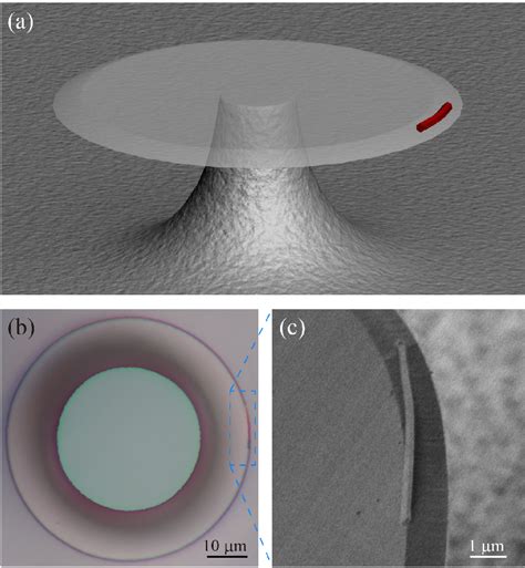 Figure From Microlaser Based On A Hybrid Structure Of A Semiconductor