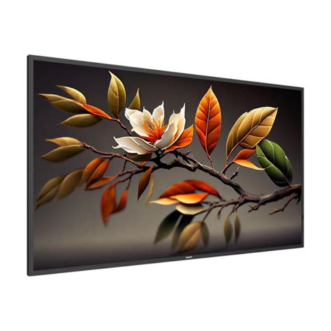Moniteur 50" Philips Q-Line - UHD, Android, 18/7 (L/P)