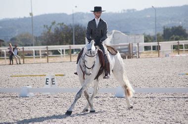 Equustrio Chegou Viu E Venceu EQUISPORT