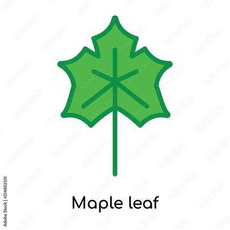 Maple leaf icon vector sign and symbol isolated on white background ...