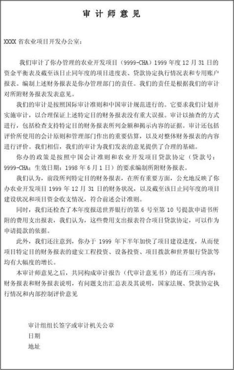 无审计报告情况说明（八篇） 范文118