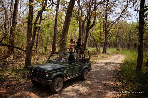 चितवन निकुञ्जमा कालोपत्रे सडक निर्माण हुँदै वन्यजन्तुका गतिविधिको