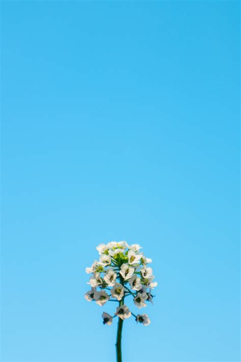 best wallpaper lock screen 1