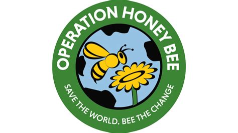 Top 10 Best Bee Charities To Donate To In 2023 Nonprofit Point