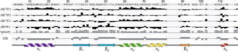 Amino Acid Sequence Of S Aureus Ribosome Binding Factor A And Talos Download Scientific