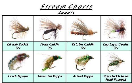 Fly Fishing Flies Guide