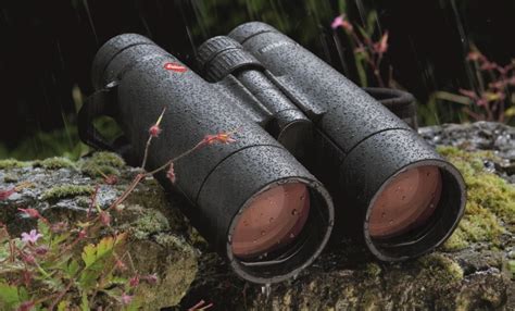 Best Binoculars For Wildlife Viewing Spring The Complete Guide