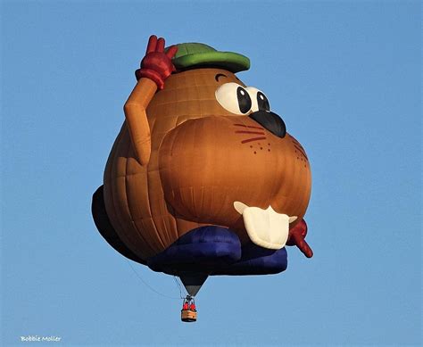 Whimsical Hot Air Balloon Photograph By Bobbie Moller Pixels