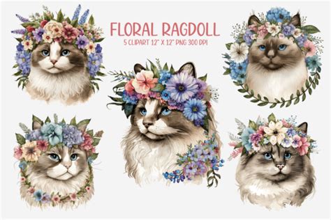 Watercolor Floral Ragdoll Cat Clipart Graphic By Gemstone Creative