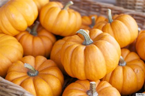 surprising   pumpkin     lattes huffpost life