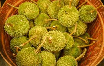 Durian Fruta Benef Cios Informa O Nutricional E Malef Cios Dr