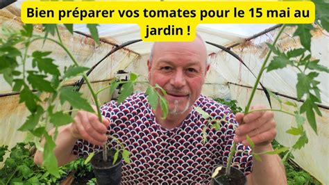 Bien Pr Parer Vos Pieds De Tomates Une Nouvelle Vari T De Tomates