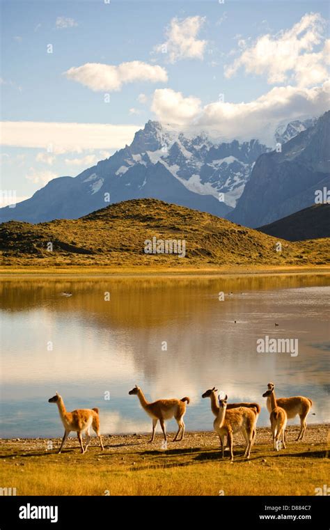 Torres del Paine National Park, Chile Stock Photo - Alamy