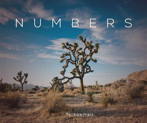 Book of Numbers Overview