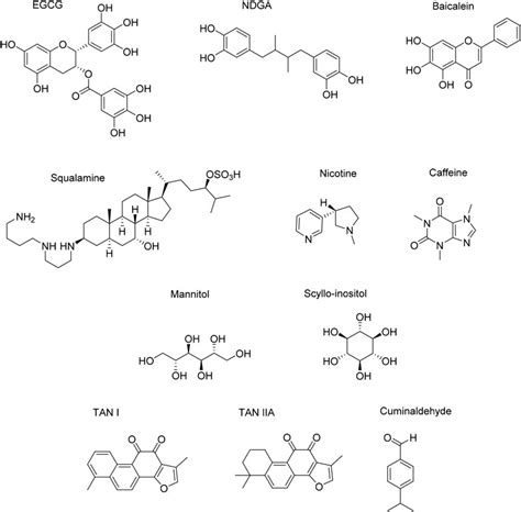 Frontiers α Synuclein An All Inclusive Trip Around Its Structure