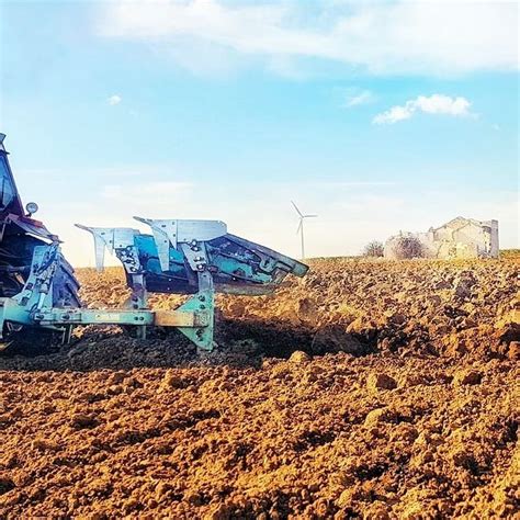 Barbatelle Limpianto Di Un Nuovo Vigneto Vini Marulli