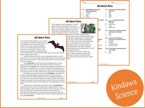 All About Bats Reading Comprehension Passage And Questions Pdf