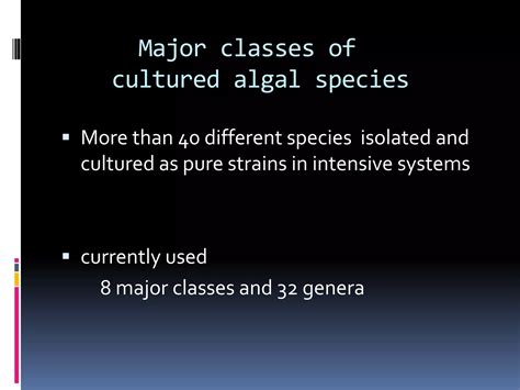 Microalgae | PPT