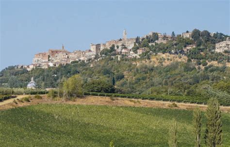 Dal Bacco in Toscana del Redi del 1685 al cinema della seconda metà