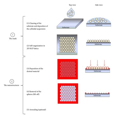 Nanosphere lithography process (NSL). | Download Scientific Diagram