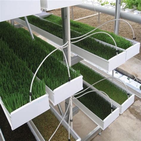 H Hydroponic Fodder Irrigation Machine System Hydroponic Barley