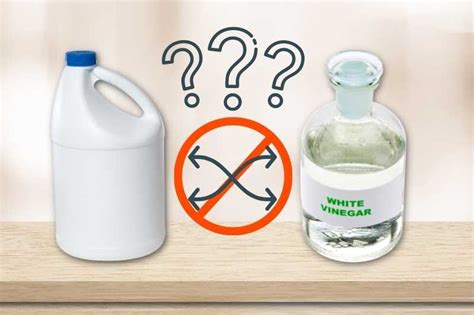 Why You Should Never Mix Bleach And Vinegar The Dangerous Combination To Avoid Clean Home Expert